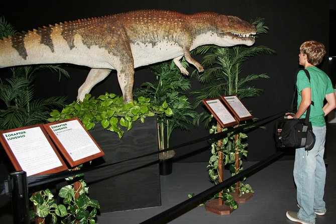 Branson Dinosaur Museum Admission Ticket - Museum Overview