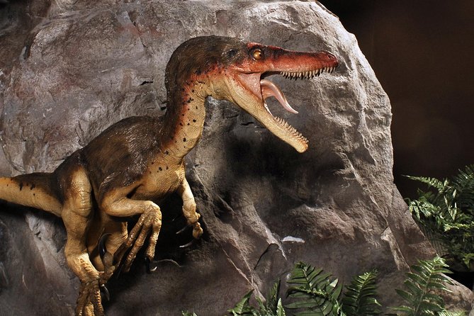Branson Dinosaur Museum Admission Ticket - Common Questions