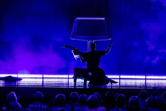 Branson: Escape Reality Magic Dinner Show - Experience Highlights