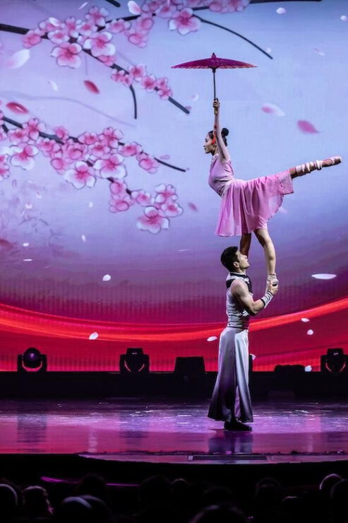 Branson: Grand Shanghai Acrobats Circus Show Entry Ticket - Good To Know