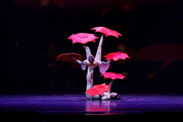 Branson: Grand Shanghai Acrobats Circus Show Entry Ticket - Additional Offerings