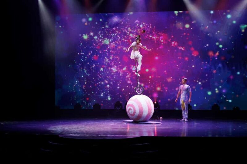 Branson: Grand Shanghai Circus Show Entry Ticket - What You Can Expect at the Grand Shanghai Circus Show