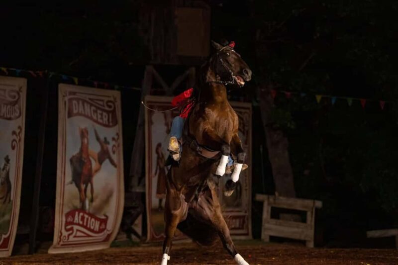 Branson: Shepherds Wild West Showdown - Is It Worth It?