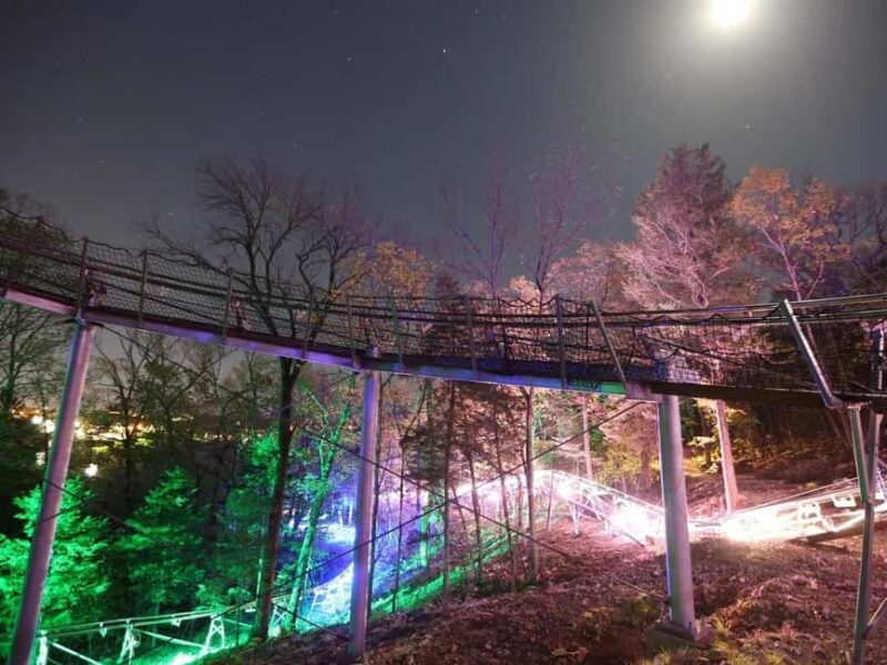 Branson: Thrilling Mountain Coaster Ride - What is the Branson Mountain Coaster?