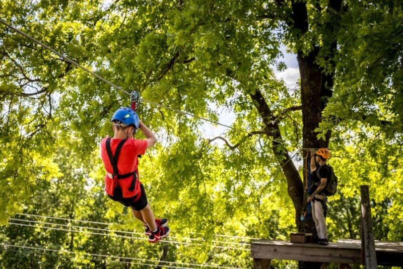 Branson: Zipline Canopy Tour - Authentic Insights from Reviews