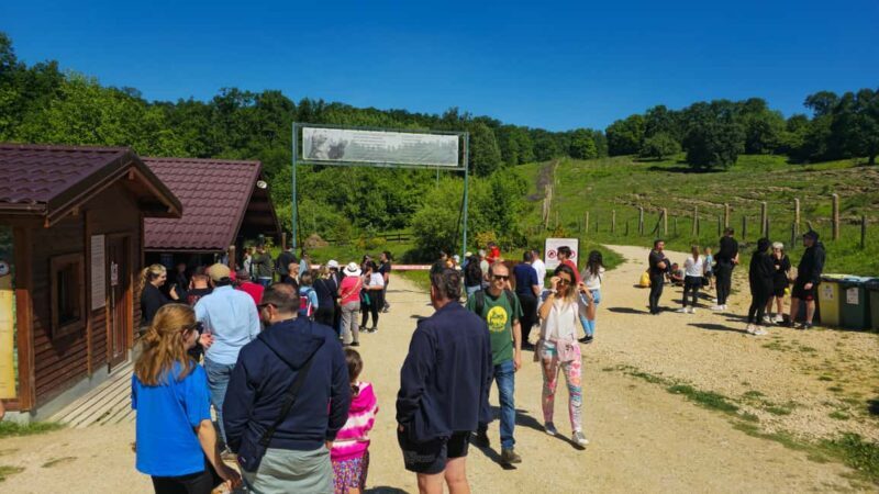 Braov: 3-Day Highlights of Transylvania Private Tour - Authentic Experiences and Practical Tips