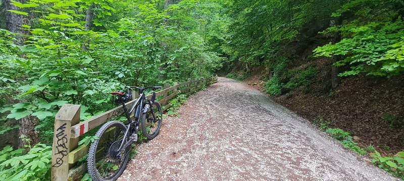 Braov Bike Exploration: Scenic Routes & Local Flavors - Final Thoughts