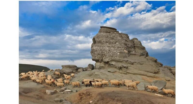 Braov: Carpathian Mountains Guided Hike with Pickup - What You Can Expect: Nature, Views, and Culture