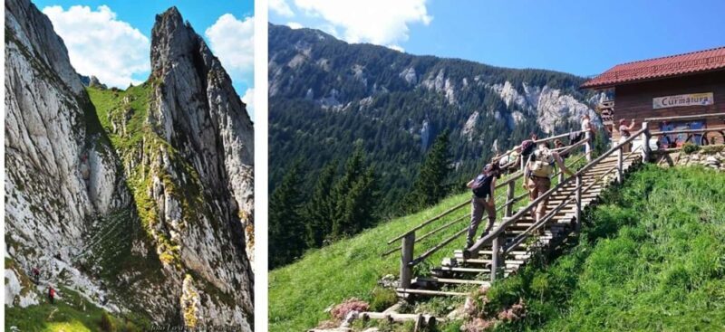 Braov: Carpathian Mountains Guided Hike with Pickup - The Practical Side: What’s Included and What’s Not