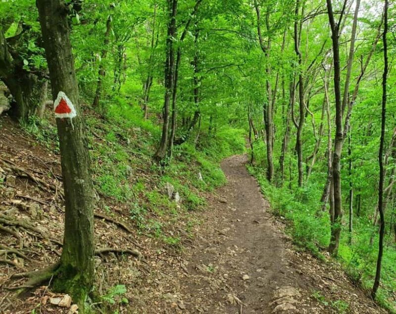 Braov in Focus: A Walking Tour, Hike & Photo Experience - A City Walk with a Cultural Edge