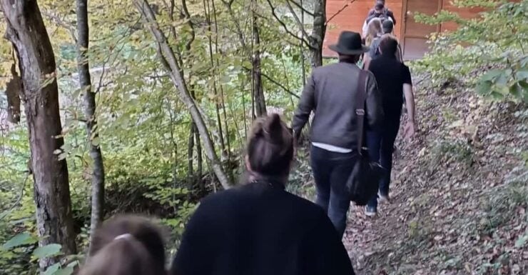 Brașov: 4-Hour Bear Watching Tour in Carpathian Mountains - Key Points
