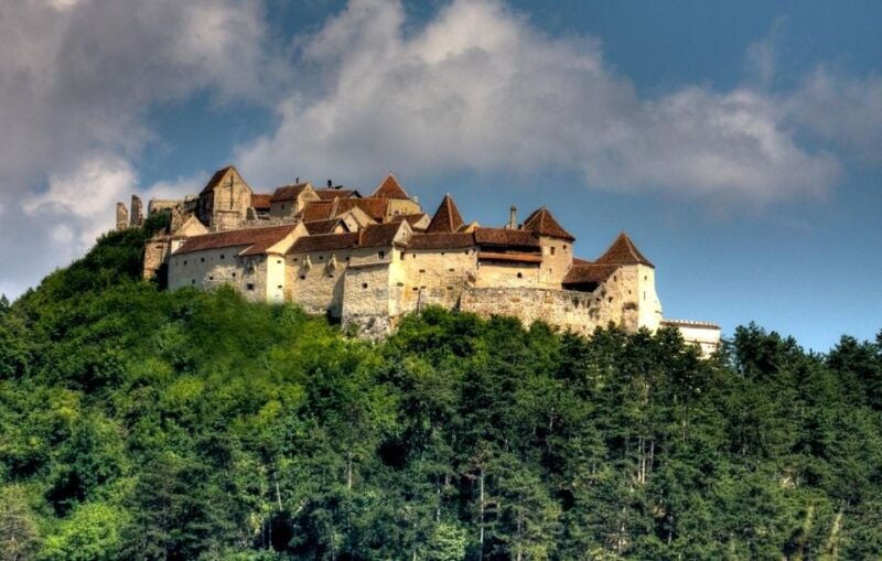Brasov: Bear Sanctuary, Dracula Castle, and Rânov Fortress - Who Will Enjoy This Tour?