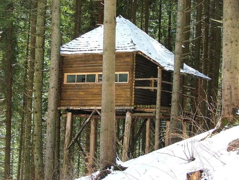 Brasov: Brown Bear & Wildlife Watching - Final Thoughts