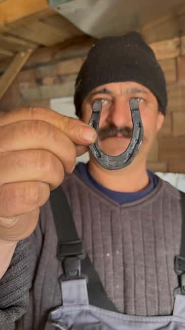 Brasov: Crafts, History & Cuisine of Transylvania Experience - Who Would Love This Experience?