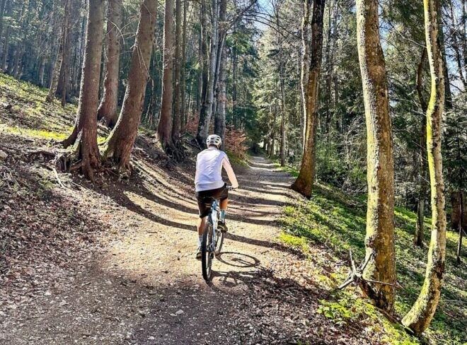 Brasov: E-Bike Tour to Poiana Brasov (Old Town & Forest) - Participant Guidelines