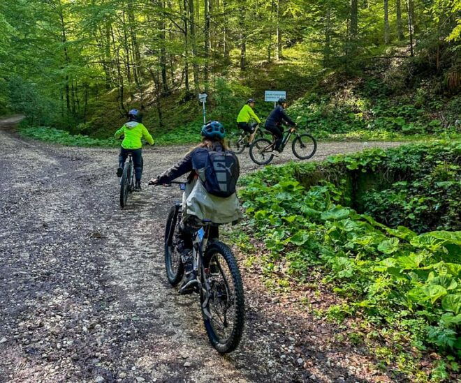 Brasov: E-Bike Tour to Poiana Brasov (Old Town & Forest) - What to Expect