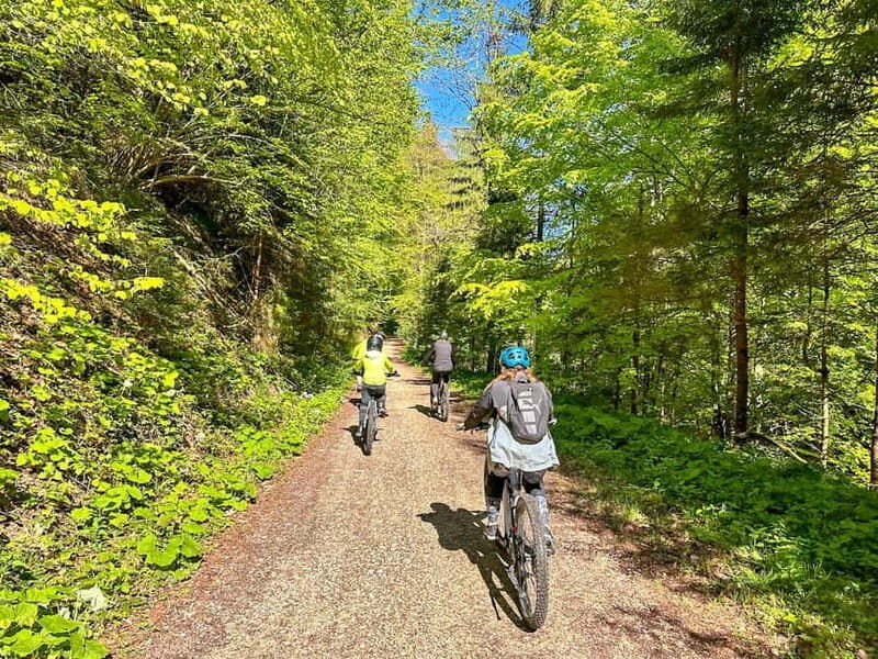 Brasov: eBike Tour to Poiana Brasov (Old Town & Forest) - Good To Know