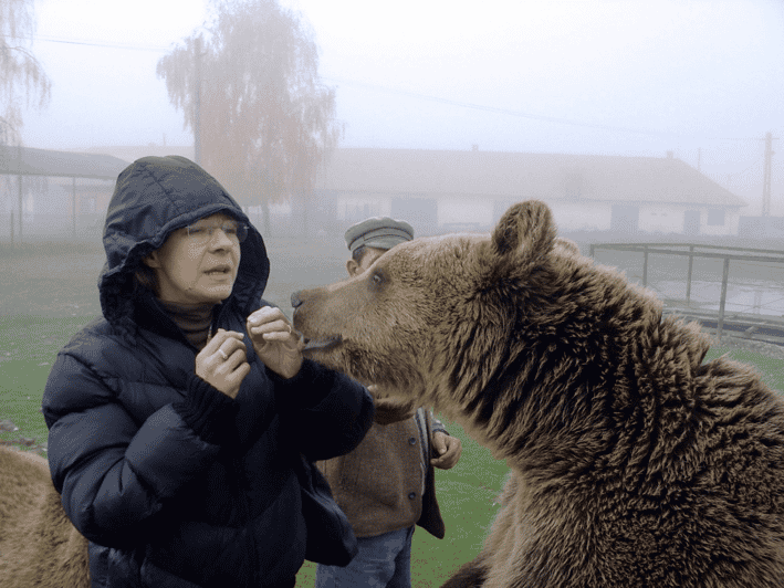 Brasov: Libearty Bear Sanctuary - Key Points