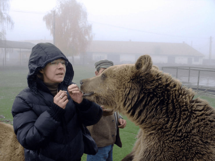 Brasov: Libearty Bear Sanctuary - Tour Pricing and Options