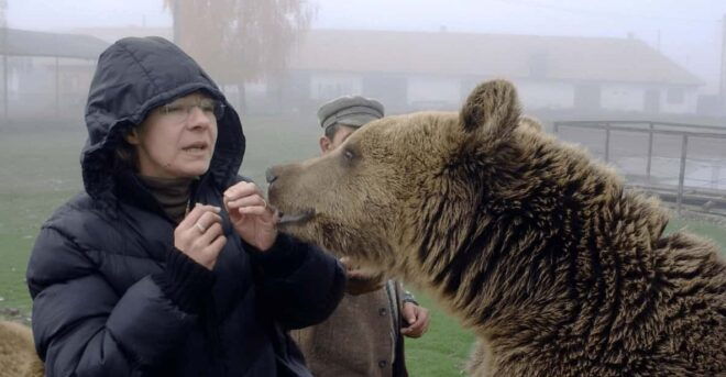 Brasov: Libearty Bear Sanctuary - Itinerary Highlights