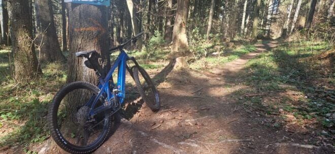 Brasov`S Mountain`S E-Mtb Tour With Daisy - Inclusions and Exclusions