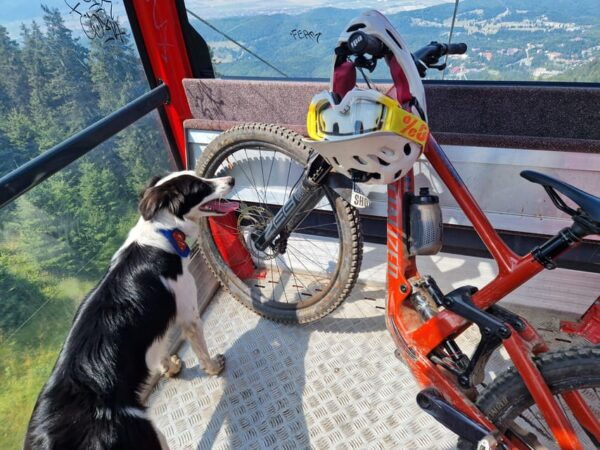 Brasov`S Mountain`S E-Mtb Tour With Daisy - Customer Feedback