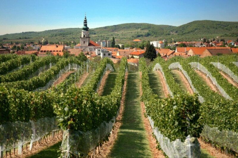 Bratislava: 6,5-Hour Carpathian Wine Tour and Tasting - Final Thoughts  
