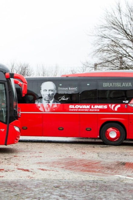 Bratislava: Bus Transfer To/From Vienna Airport - Accessibility Features