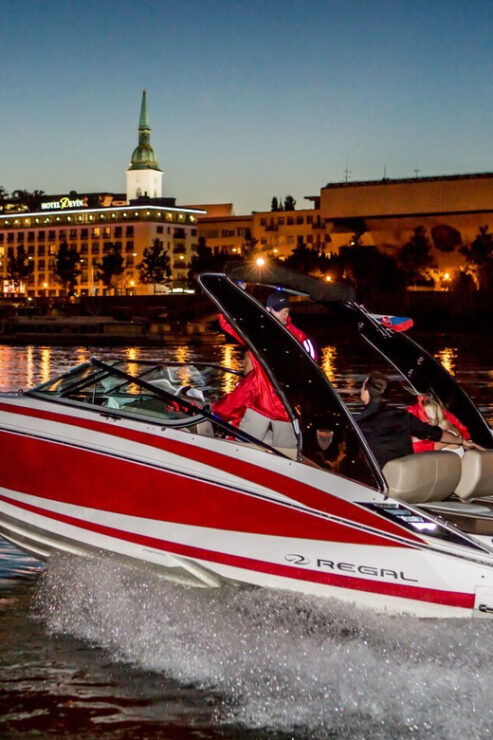 Bratislava by Private Speedboat - Experience Highlights