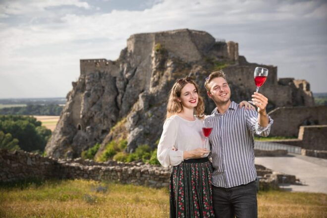 Bratislava Card With Public Transport Option & Walking Tour - Transportation Coverage and Convenience