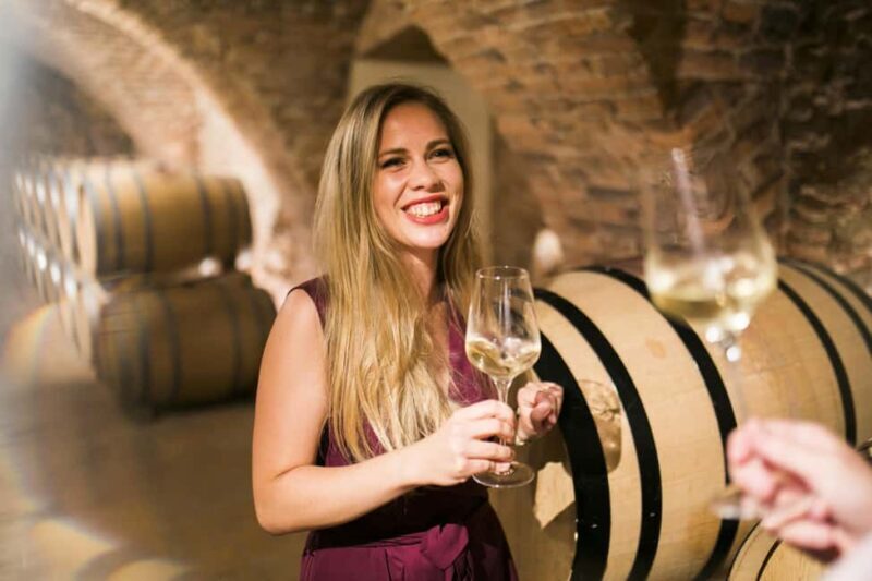 Bratislava: Devin Castle and Wine Tasting Private Tour - Analyzing the Value for Money