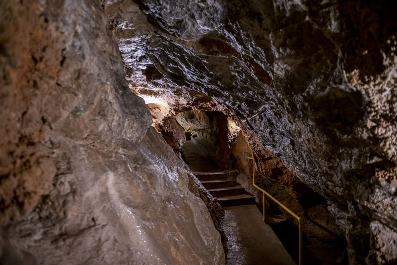 Bratislava & Devin Castle Full-Day Guided Tour with Transfers - Is $152.89 good value?