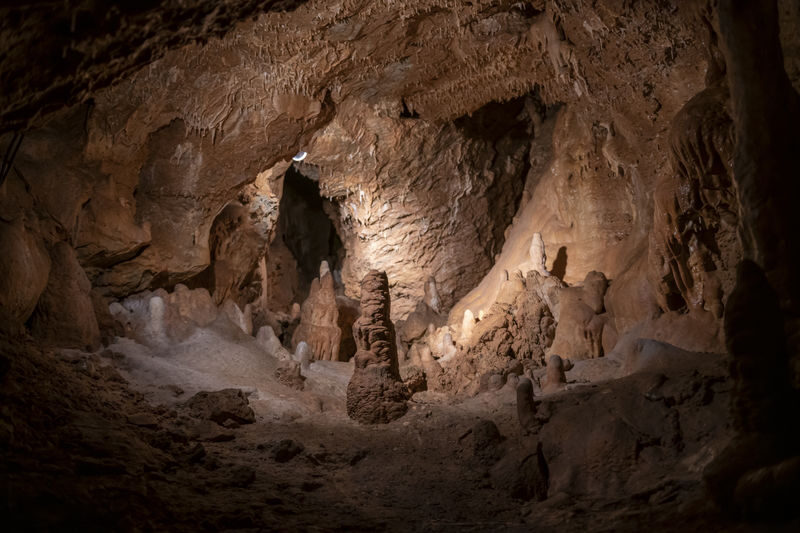Bratislava & Devin Castle Full-Day Guided Tour with Transfers - Who should book this day trip?