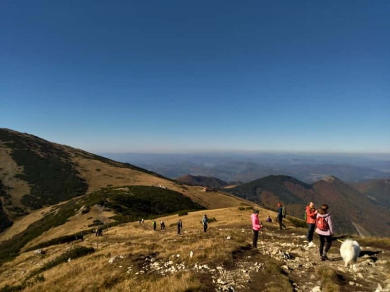 Bratislava: Small Fatra Mountains Guided Hike - An In-Depth Look at the Itinerary and Experience