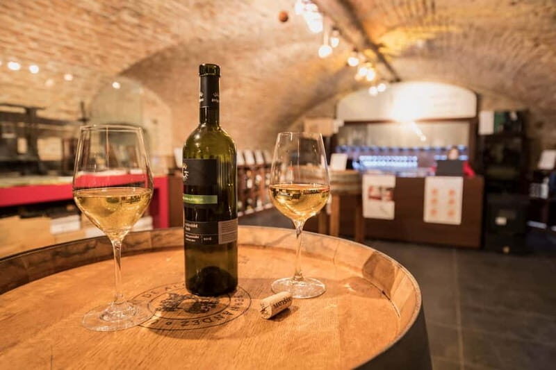Bratislava: Wine Tasting with Sommelier - The Experience: What to Expect from Start to Finish
