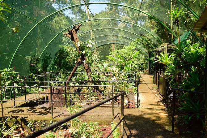 Braulio Carrillo Half Day Pass Including Aerial Tram Tour - Frequently Asked Questions
