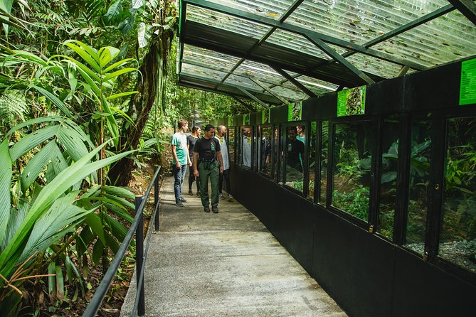 Braulio Carrillo Half Day Pass Including Aerial Tram Tour - The Sum Up
