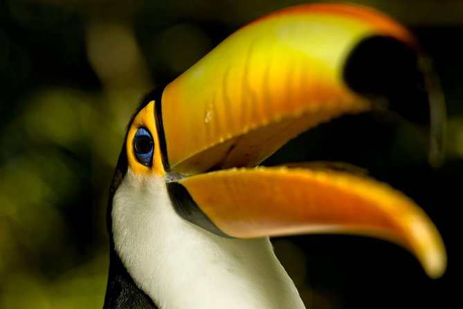 Brazil 10-Day Private Tour: Rio, Iguazu, Paraty, Ilha Grande  - Rio De Janeiro - Itinerary Details