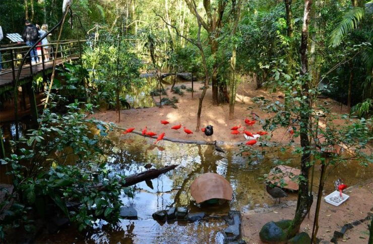 Brazilian Falls, Bird Park and Itaipu Dam - Attractions