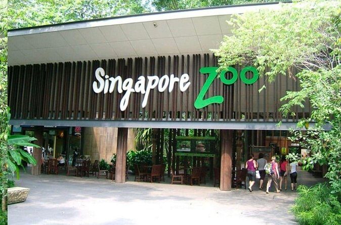 Breakfast In the Wild at Singapore Zoo Promo - Final Thoughts