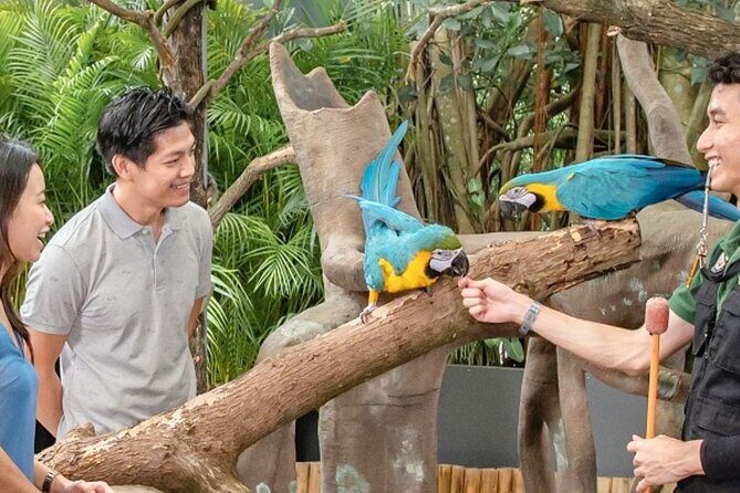 Breakfast In the Wild at Singapore Zoo Promo - What Makes This Tour Special