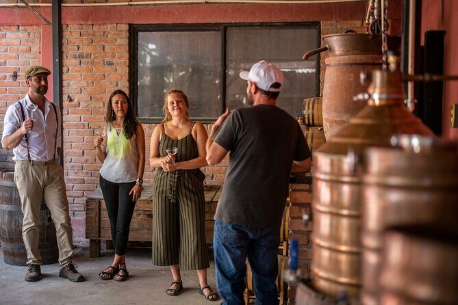 Breakfast & Market Tour in San Luis Potosí with English Guide - The Itinerary in Detail: What to Expect from Each Stop