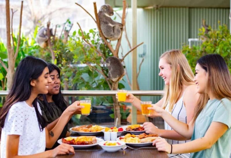 Breakfast with Koalas at WILD LIFE Zoo Darling Harbour - What to Expect from the Experience