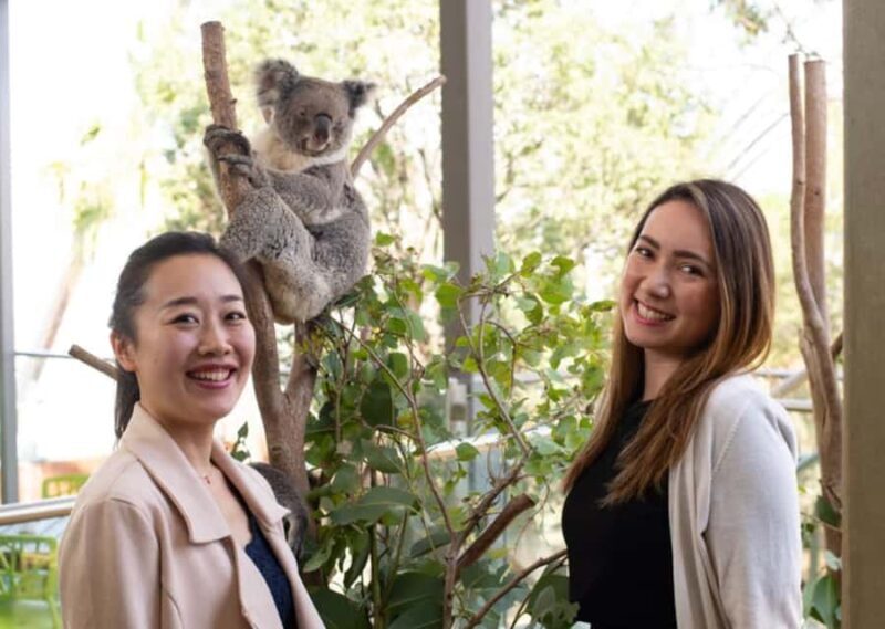 Breakfast with Koalas at WILD LIFE Zoo Darling Harbour - Why This Experience Works