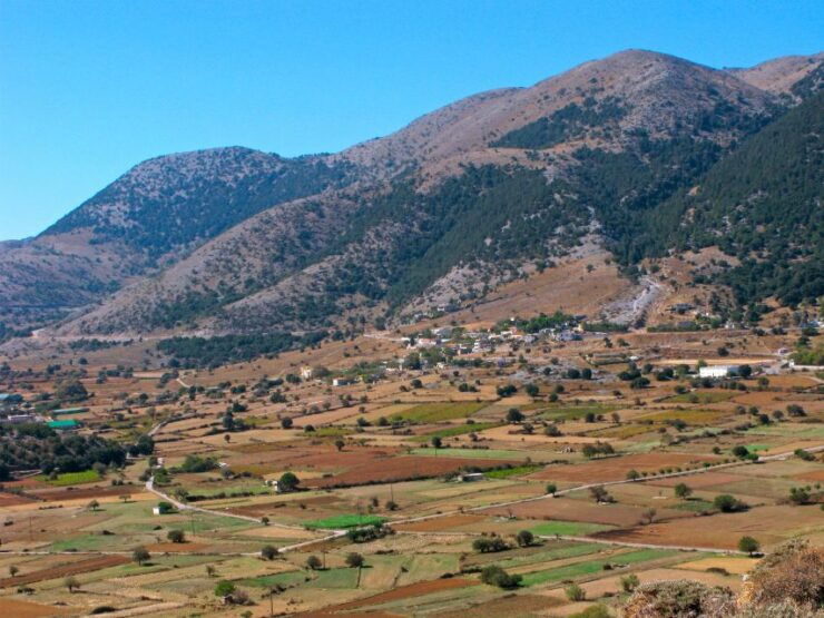 BREATH of AFRICA in CRETE - PHOTO SAFARI From Rethymno Area - Good To Know
