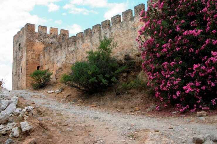 BREATH of AFRICA in CRETE - PHOTO SAFARI From Rethymno Area - Highlights of the Safari