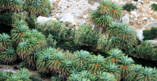 BREATH of AFRICA in CRETE - PHOTO SAFARI From Rethymno Area - Itinerary Overview