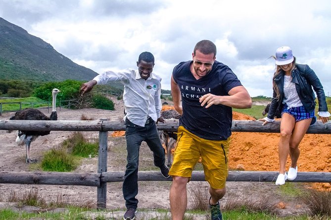 Breath-taking Cape Peninsula Tour - Scenic Highlights