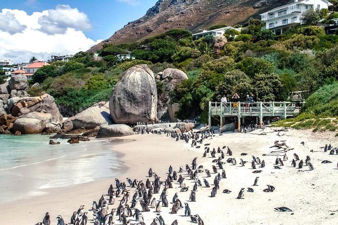 Breath-taking Cape Peninsula Tour - Additional Experiences