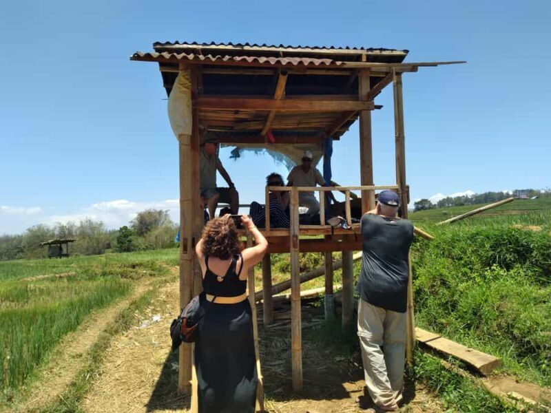 Breathe in Malinos Fresh Air & Explore the Flower City - The Drive to Malino: Scenic and Comfortable